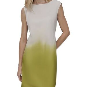 NEW DKNY by Donna Karan Stretch Ombre Boat Neck Sleeveless Sheath Dress
